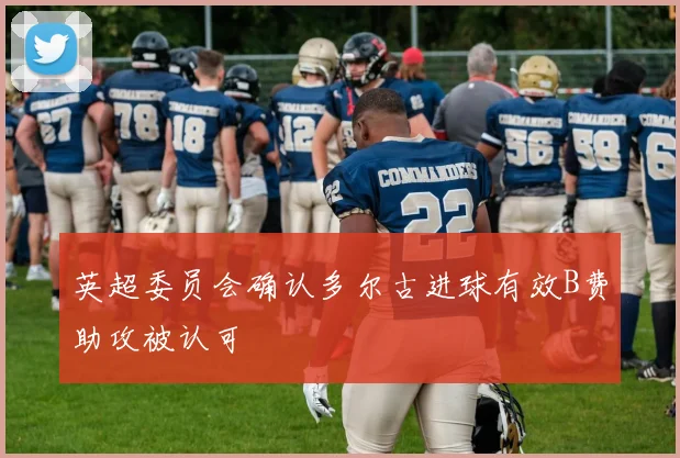 英超委员会确认多尔古进球有效B费助攻被认可