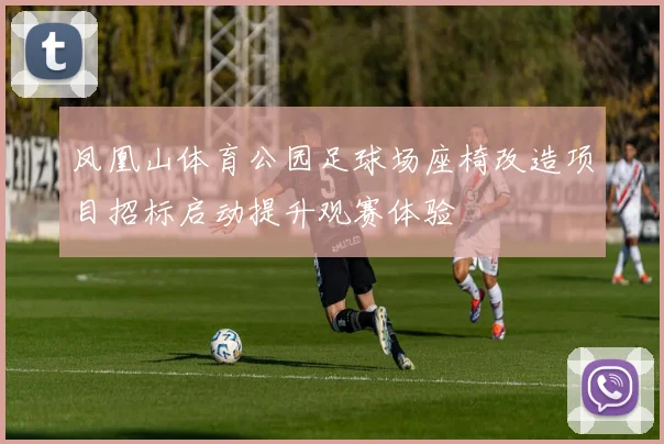 凤凰山体育公园足球场座椅改造项目招标启动提升观赛体验