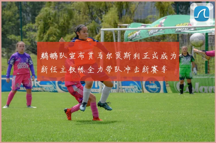 鹈鹕队宣布贾马尔莫斯利正式成为新任主教练全力带队冲击新赛季